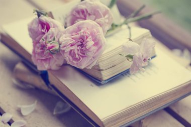 Açık kitap üzerine pembe çiçekler üzerinde Kapat 