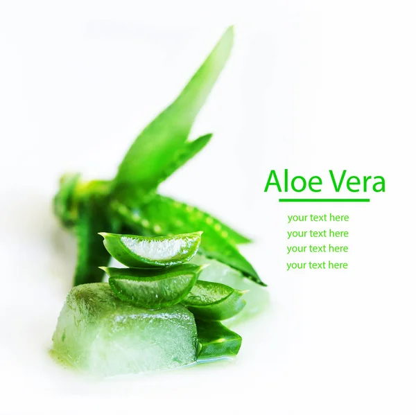 Planta Aloe Verde Con Spase Copia Sobre Fondo Blanco — Foto de Stock