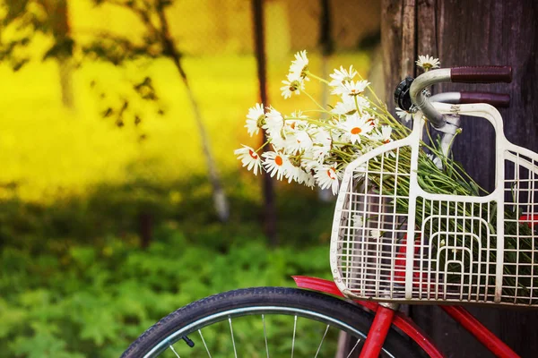 Czerwony Rower Stary Kwiaty Koszyku Miejscowości — Zdjęcie stockowe