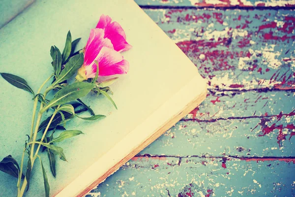 Closeup View Natural Wild Flowers Bouquet Vintage Book — Stock Photo, Image