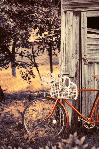 Vintage Stary Rower Chamomiles Koszyku Pobliżu Starym Drewnianym Budynku — Zdjęcie stockowe