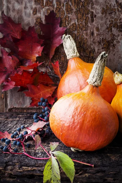 Fresh Orange Pumpkins Heap Autumn Background — Stock Photo, Image