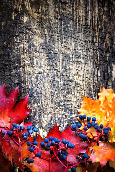 Bovenaanzicht Van Herfst Bladeren Bessen Houten Tafel — Stockfoto