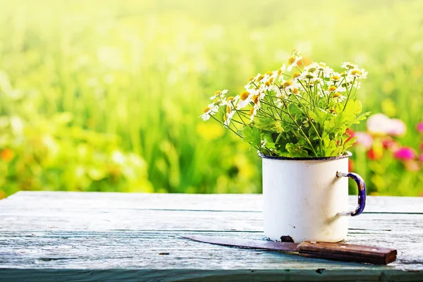 素朴な木製のテーブルを屋外にマグカップで新鮮な鎮静の花束 — ストック写真