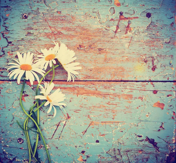 Weiße Und Weiche Gänseblümchen Blumen Auf Holzgrund — Stockfoto