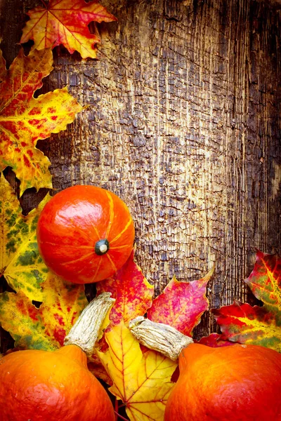 Detailní Pohled Podzimní Listí Dýně Dřevěný Stůl — Stock fotografie