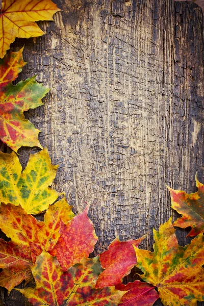 Top View Από Φθινόπωρο Φύλλα Στο Ξύλινο Τραπέζι — Φωτογραφία Αρχείου