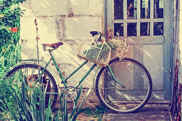 Vintage Vecchia Bicicletta Con Camomille Nel Cestino — Foto Stock