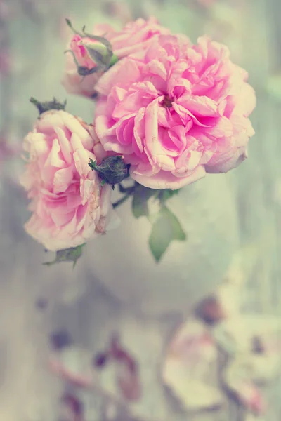 Közelkép Bazsarózsa Pink Rózsa Vázában — Stock Fotó