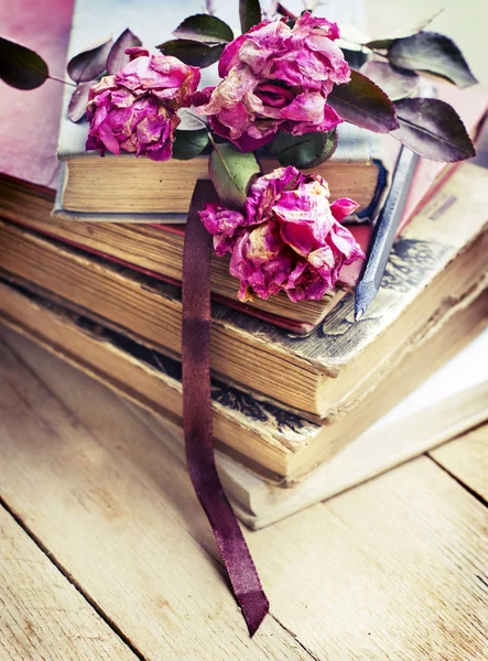 用铅笔在老式旧书上干玫瑰花 — 图库照片