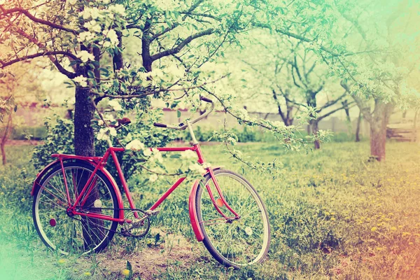 复古红色自行车停放在树旁边的公园 — 图库照片