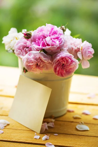 Closeup View Beautiful Pink Roses Pot — Stock Photo, Image