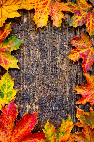 Blick Von Oben Auf Herbstblätter Auf Holztisch — Stockfoto