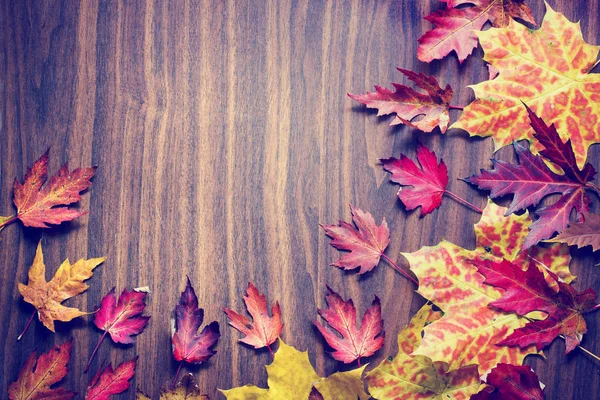 Blick Von Oben Auf Herbstblätter Über Hölzernen Hintergrund — Stockfoto