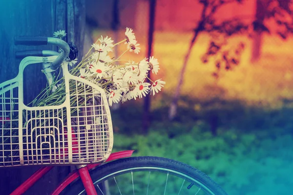 Bicicleta Roja Vieja Con Flores Cesta Pueblo — Foto de Stock