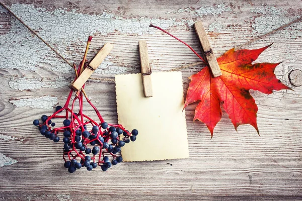 Thanksgiving Day Concept Wooden Background — Stock Photo, Image