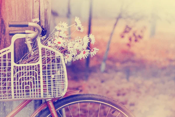 特写镜头的篮子与洋甘菊花挂在复古自行车 — 图库照片