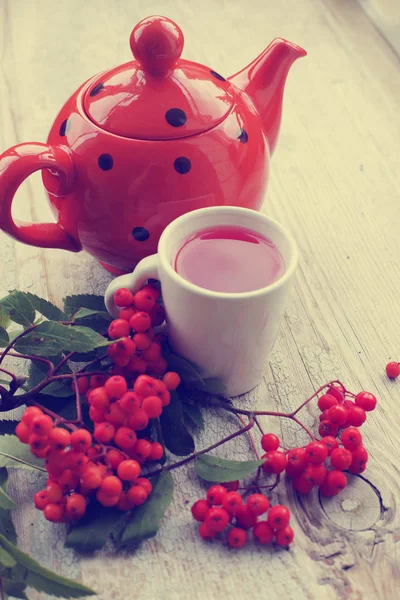 Vista Ravvicinata Della Tazza Rosso Fresco Con Bacche Rami — Foto Stock