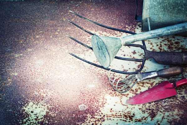 在地面上的老花园工具特写镜头视图 — 图库照片