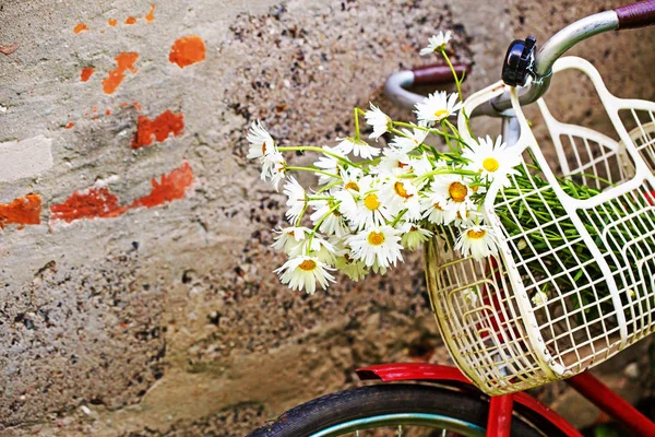 Красный Старый Велосипед Цветами Корзине Деревне — стоковое фото