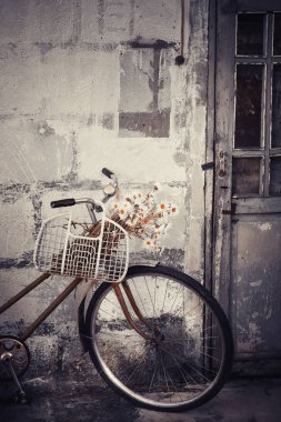 closeup görünümü sepeti vintage bisiklet üzerinde asılı papatya çiçeği ile