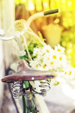 Vintage eski bisiklet chamomiles sepeti ile