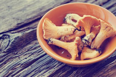 ahşap masa üzerinde kase taze chanterelles 