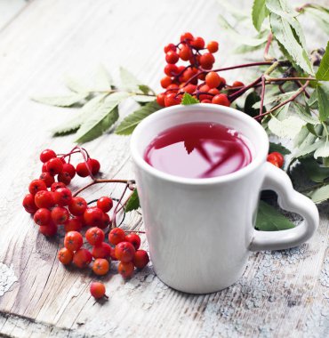 taze kırmızı çay bardağı çilek ve dalları ile görünümünü portre