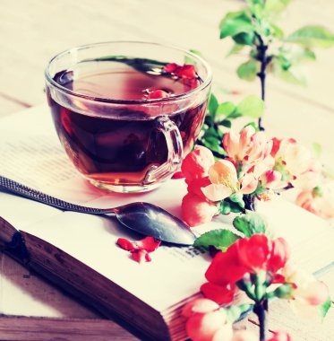 closeup görünümü taze çay Kupası kitap ve ahşap masa üzerinde otlar ile