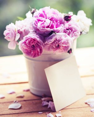 tencerede güzel pembe gül closeup görünümü