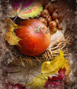 Güz pumpkins ve yaprakları doğaçlama yuvaya