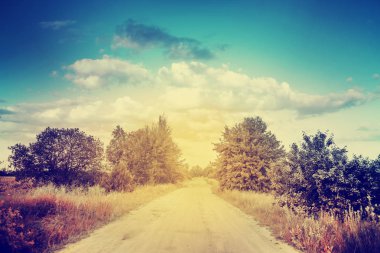 Otsu çayır üzerinde güzel doğa 