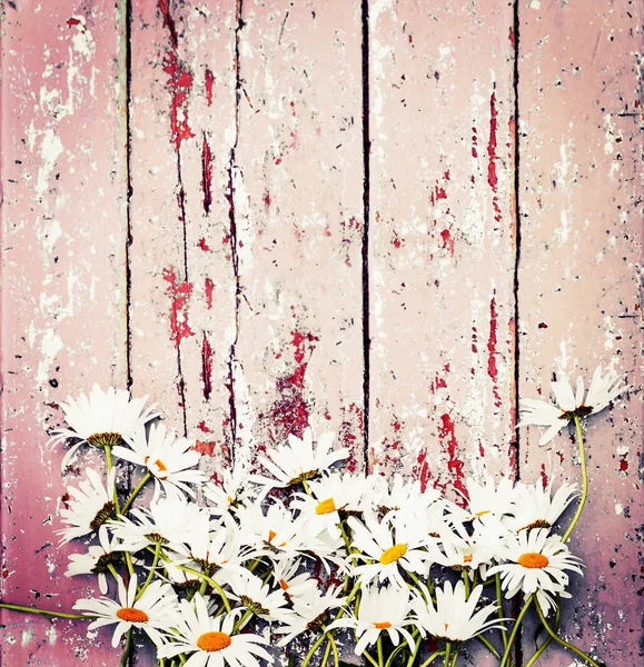 Mooie Bloeiende Bloemen Houten Achtergrond — Stockfoto