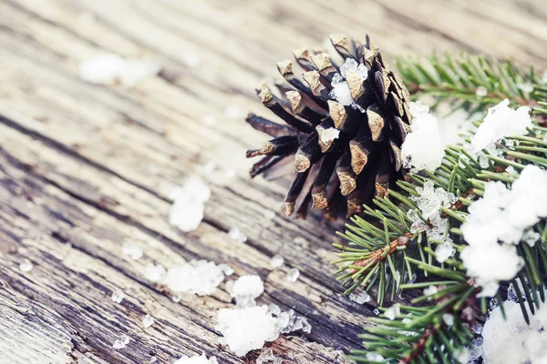 木製の背景をクリスマスの装飾として雪の中でマツ円錐形のクローズ アップ ビュー — ストック写真