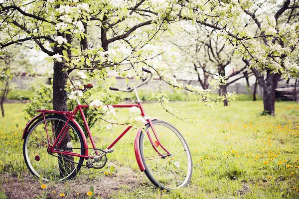 Bicicletta Rossa Vintage Piedi Nel Parco — Foto Stock