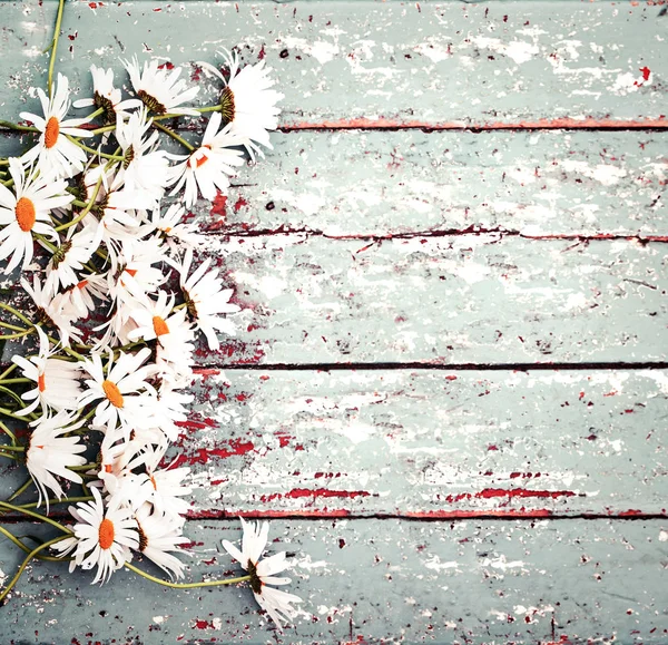 Ahşap Arka Plan Üzerinde Renkli Yumuşak Papatya Çiçekler — Stok fotoğraf