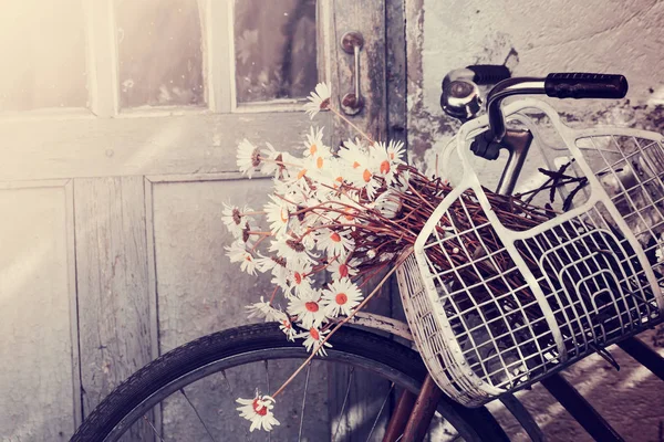빈티지 자전거에 매달려 카모마일 바구니의 — 스톡 사진