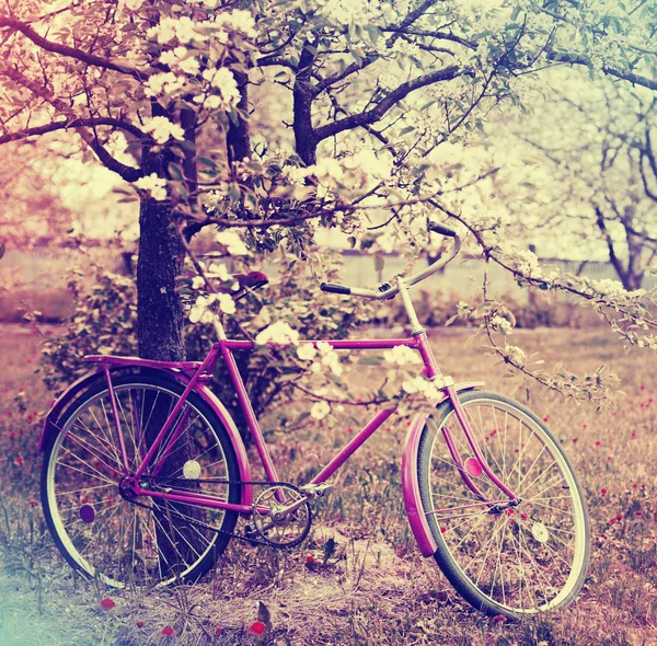 Vintage Kırmızı Bisiklet Park Ağacında Yanında Park — Stok fotoğraf