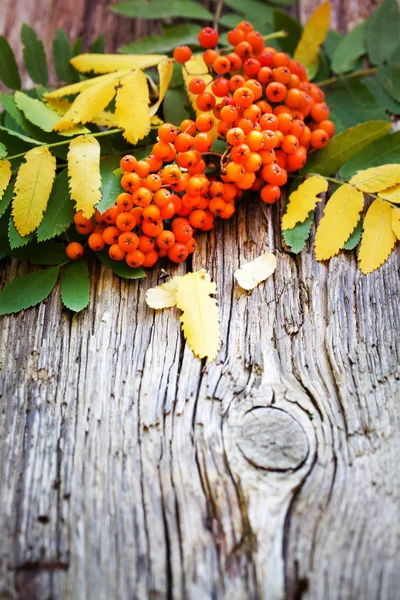 Top View Autumn Leaves Berries Placed Wooden Background — Stock Photo, Image