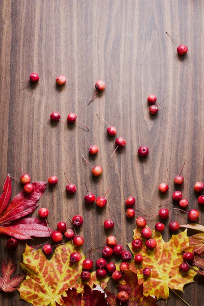 Pohled Shora Podzimní Listí Plodů Dřevěný Stůl — Stock fotografie