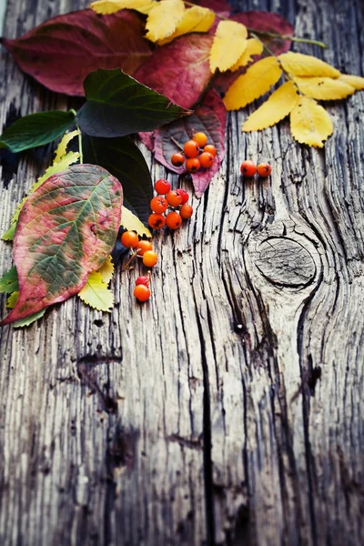 Vue Dessus Des Feuilles Automne Des Baies Sur Table Bois — Photo