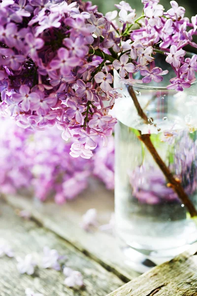 Erstaunliche Blühende Blumen Mit Laub Und Kräutern — Stockfoto