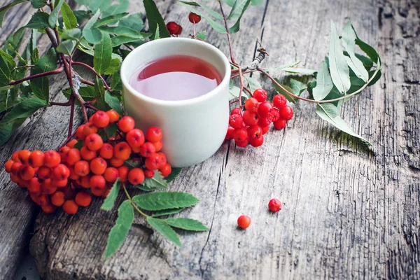 Tisana Tazza Con Bacche Rosse Sul Tavolo — Foto Stock