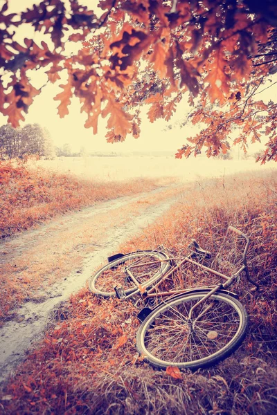 Belle Nature Avec Vélo Sur Prairie Herbeuse — Photo