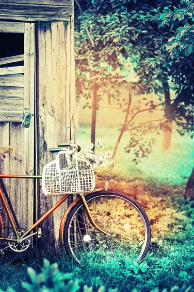 Vacker Natur Med Cykel Gräsbevuxen Äng — Stockfoto