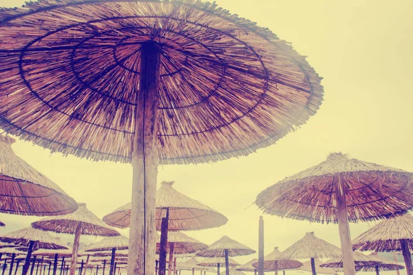 Schilderachtig Uitzicht Palm Parasols Het Strand — Stockfoto