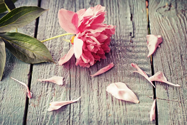 Ροζ Λουλούδι Στο Ρουστίκ Ξύλινο Τραπέζι — Φωτογραφία Αρχείου