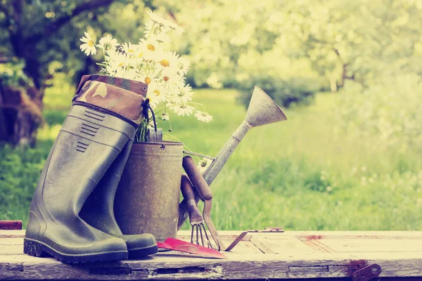 户外雏菊花在浇水罐和靴子 美丽的庭院背景 — 图库照片