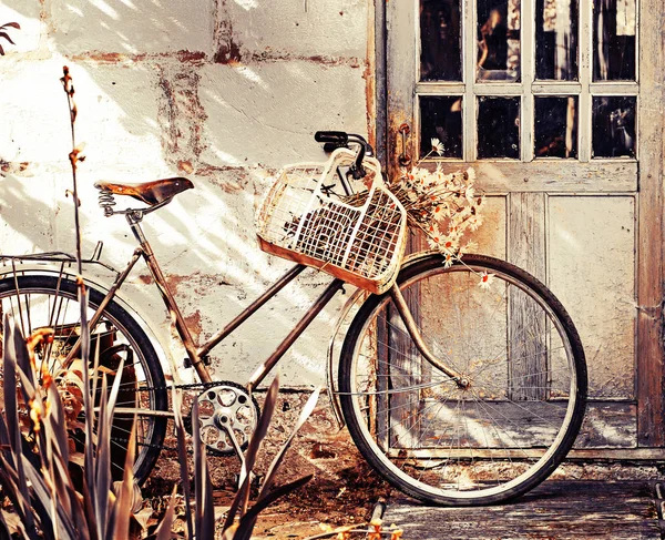 Vintage Gammal Cykel Med Chamomiles Korg — Stockfoto