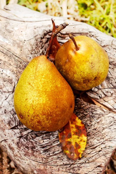 Pears on wood table — Stock Photo, Image